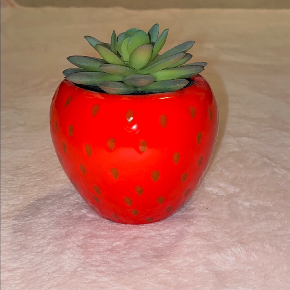 fake succulent in a strawberry pot!!